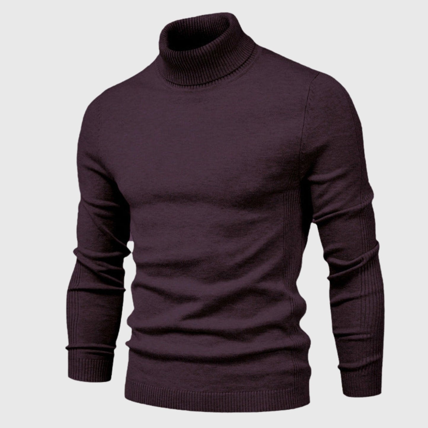 Suéter de Cuello Alto Clásico Tommy